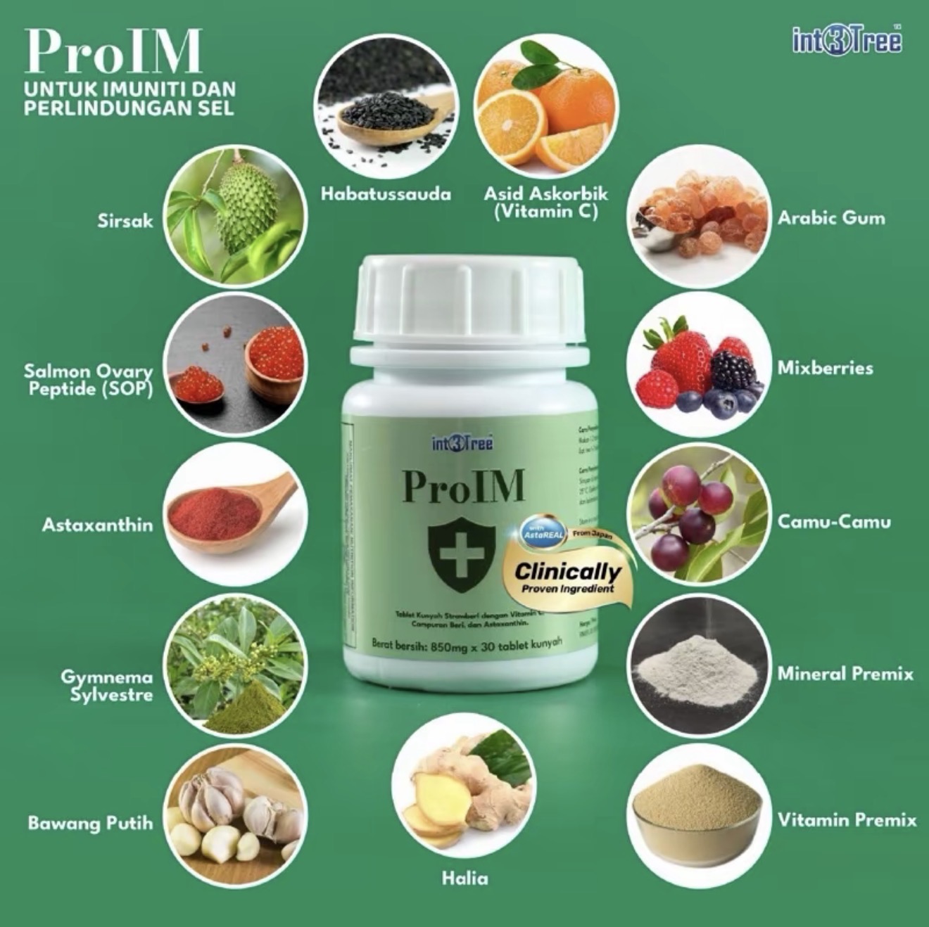 Produk Int3Tree 1